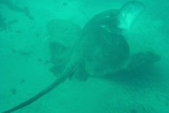teneriffa_03_21