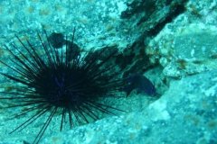 teneriffa_03_23
