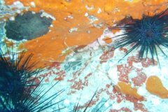 teneriffa_03_25