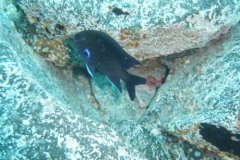teneriffa_03_30