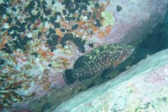 teneriffa_03_31