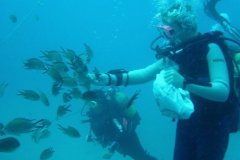 teneriffa_03_35