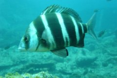 teneriffa_03_39