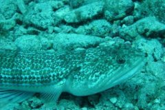 teneriffa_03_41