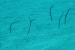 teneriffa_03_42