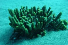 teneriffa_03_44