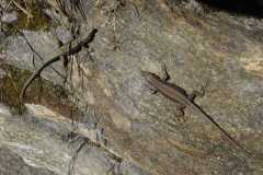 tessin03_42