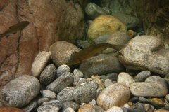 tessin_14_1000928