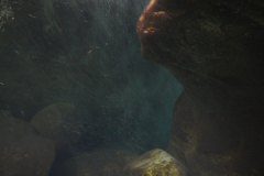 tessin_14_1000932