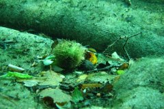 tessin_14_r0014
