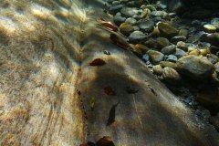 tessin_15_1000956