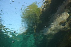 tessin_15_1000958