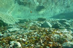 tessin_09_k1040267