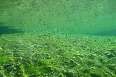 tessin_09_k1040396