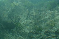 tessin_09_vk1040078