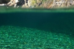 tessin_09_vk1040103