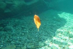 tessin_09_vk1040106