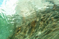 tessin_09_vk1040249