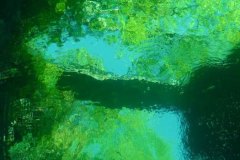 tessin_09_vk1040354
