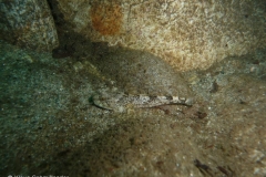 p1110432