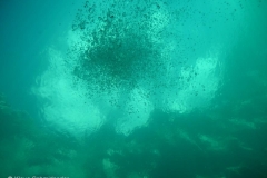 p1110436
