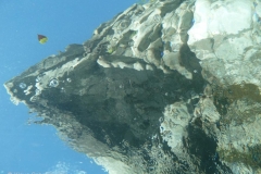 p1110447