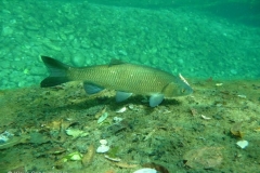 p1110469