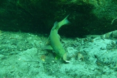 p1110471