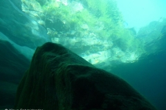 p1110503