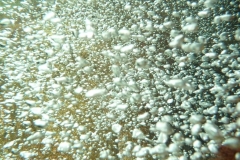 p1110524