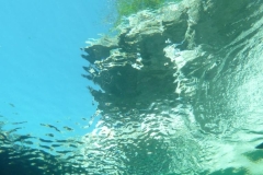 p1110549