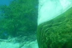 p1110554