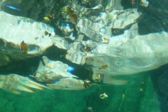 p1110557