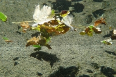 p1110561
