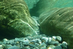 p1110574