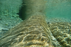 p1110575