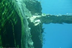 p1110646