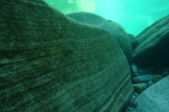p1110698