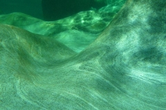 p1110702