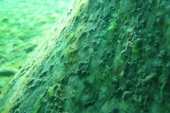p1110766