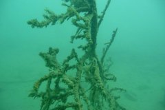 thunersee_09_k1010937