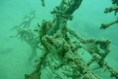 thunersee_09_k1010938