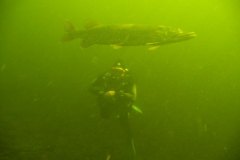 4_traun_d043