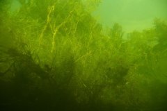 6_traun_d044