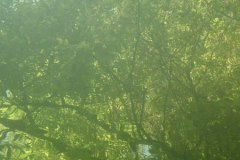 6_traun_k784