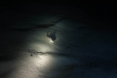img_4301