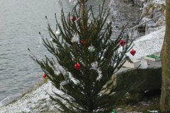 y_xmas01_1