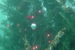 xmas03_03
