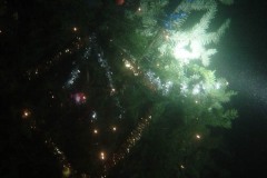 xmas03_08
