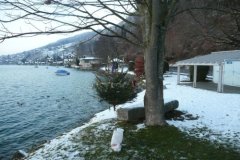 xmas_08_p1030514